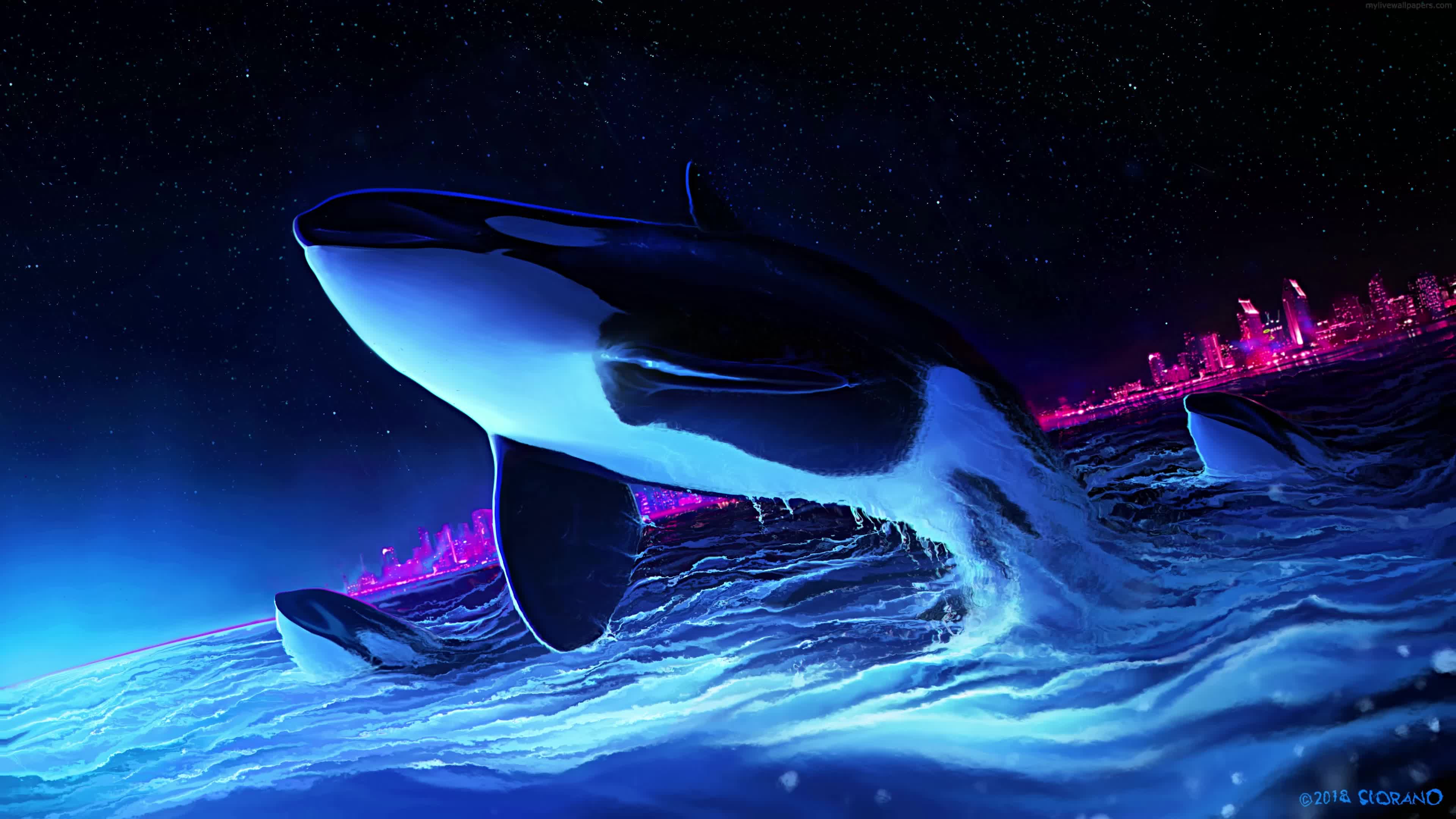 Blue Ocean Orcas 4K Live Wallpaper - Free Download