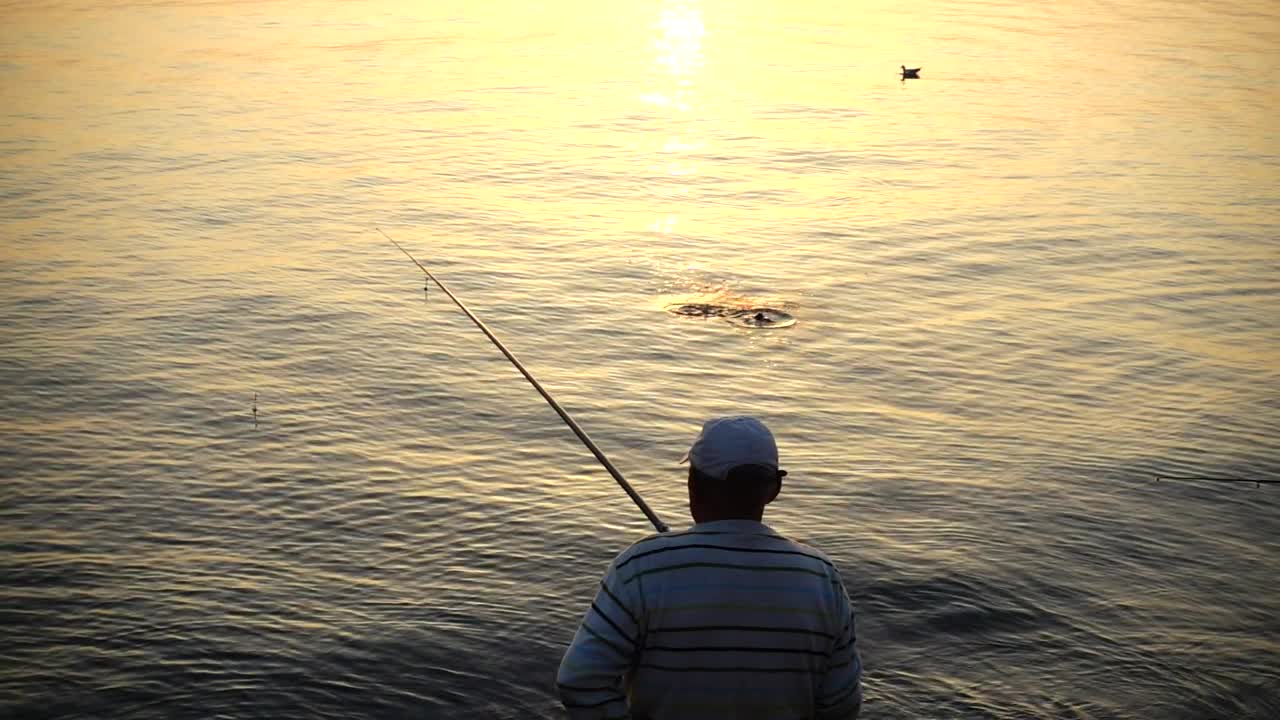 Stock Video Man Catching A Fish In The Evening Animated Wallpaper - Free Download