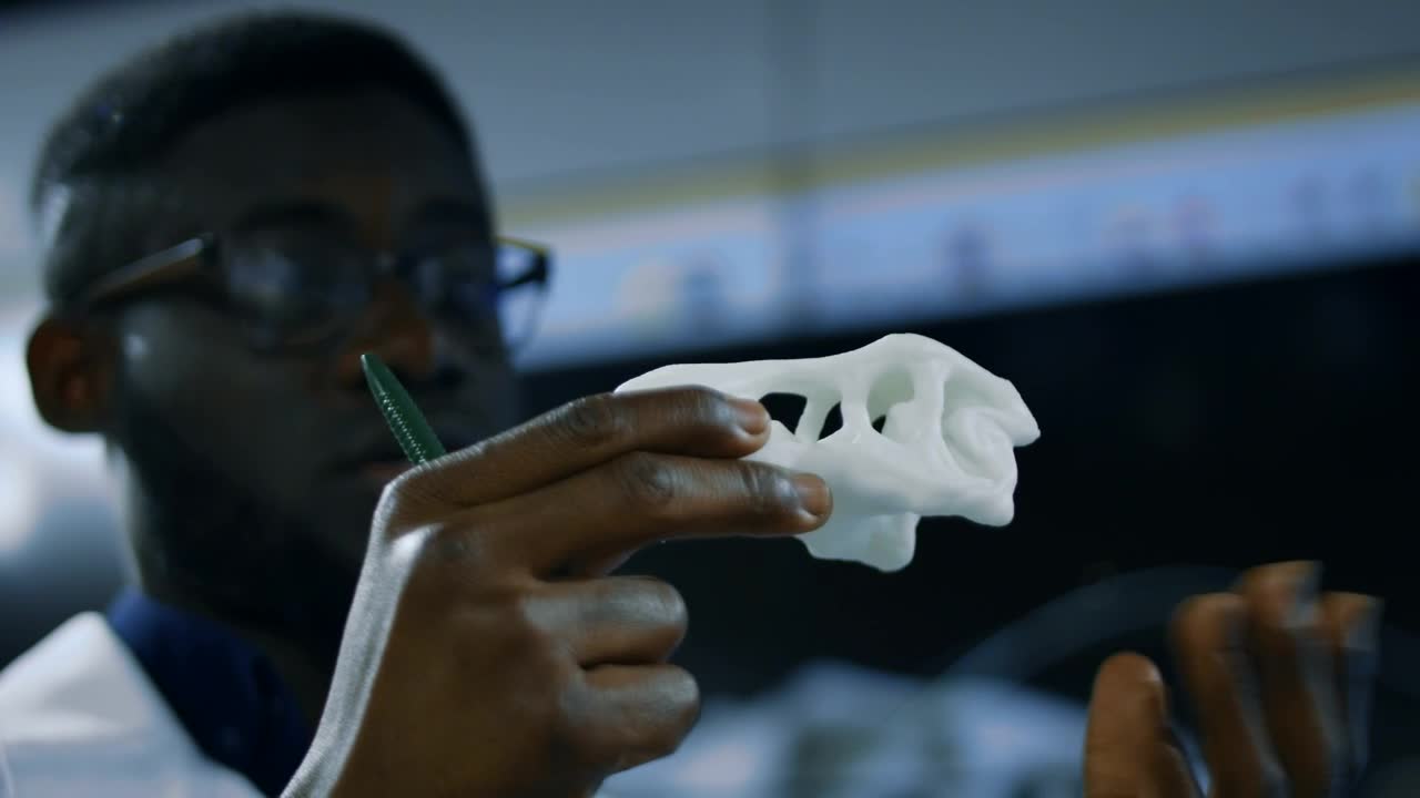 Stock Video Paleontologist Studying A Dinosaur Skull Live Wallpaper - Free Download