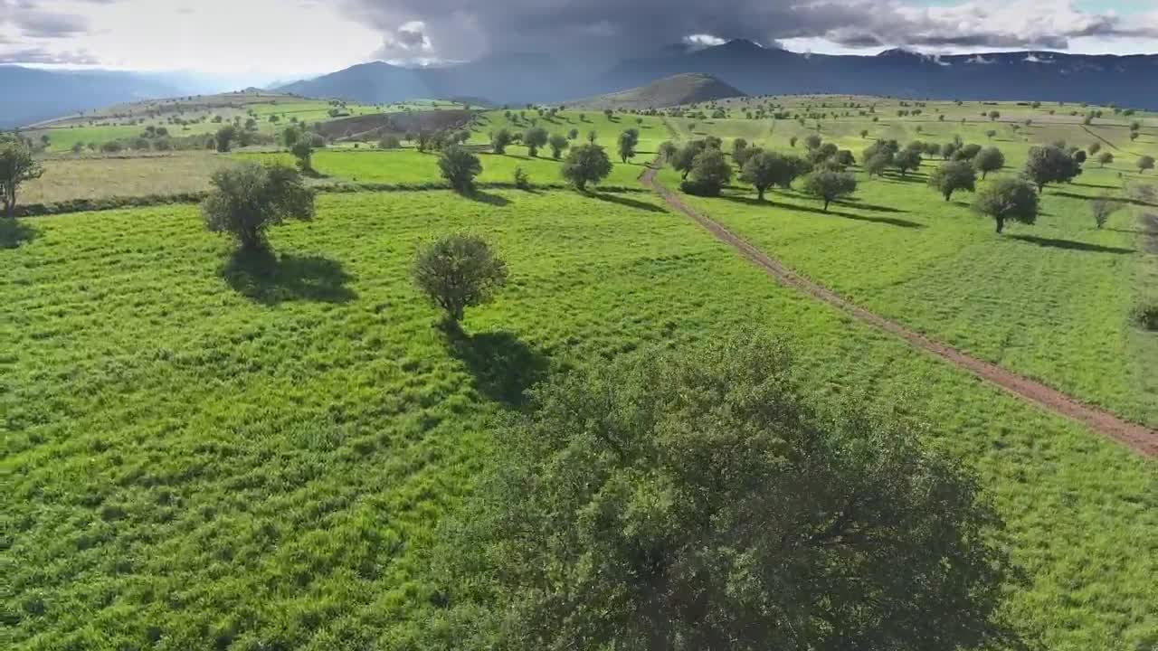Stock Footage Vast Agricultural Green Fields In The Mountain Live Wallpaper - Free Download