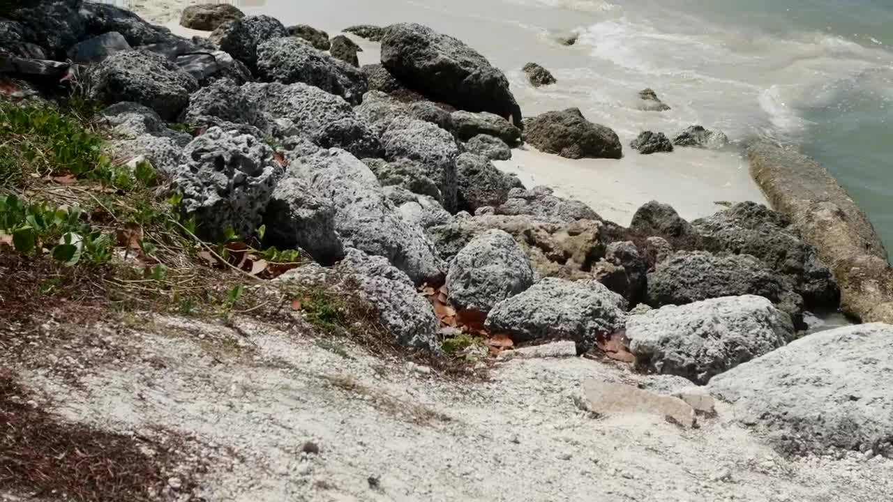 Free Stock Video Rocky Beach With Waves Reaching The Shore Live Wallpaper - Free Download