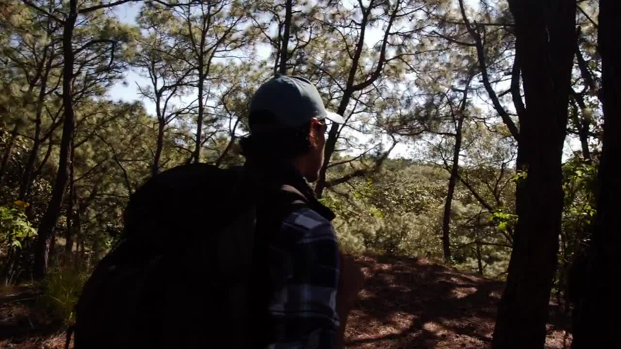 Free Video Stock tracking a man through the forest Live Wallpaper - Free Download