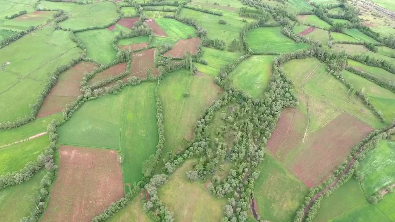 Stock Video Green Fields With Border Trees In The Valley Live Wallpaper For PC - Free Download