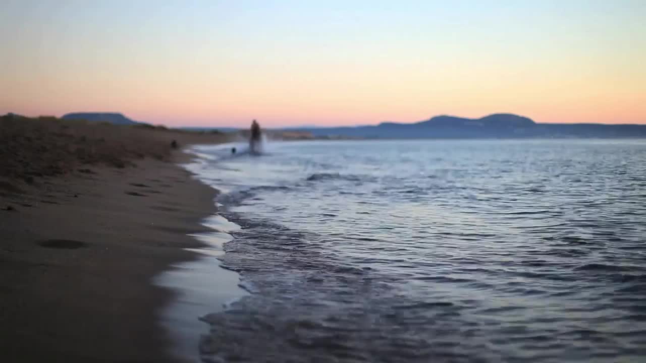 Stock Video Man Galloping On The Beach With Two Dogs Animated Wallpaper - Free Download