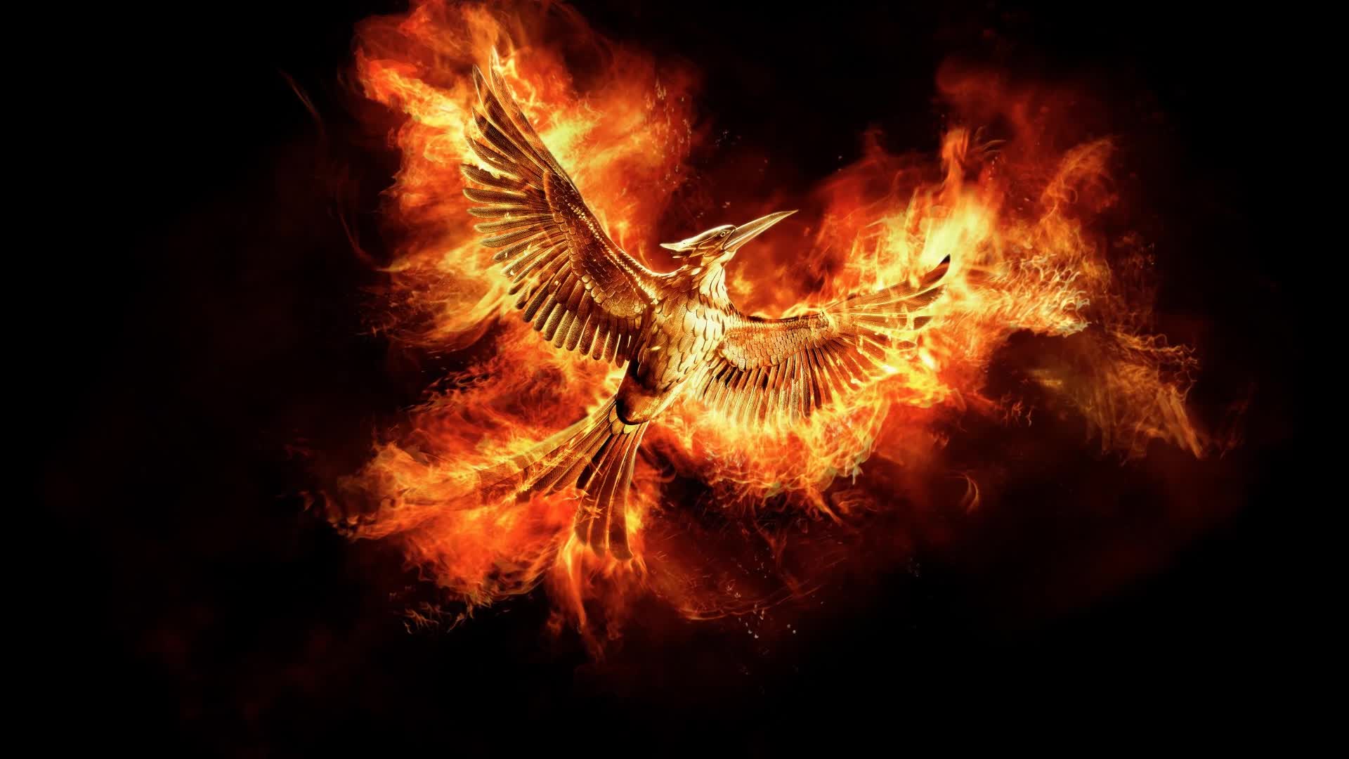 The  Hunger  Games  Mockingjay  Live  Wallpaper - Free Download