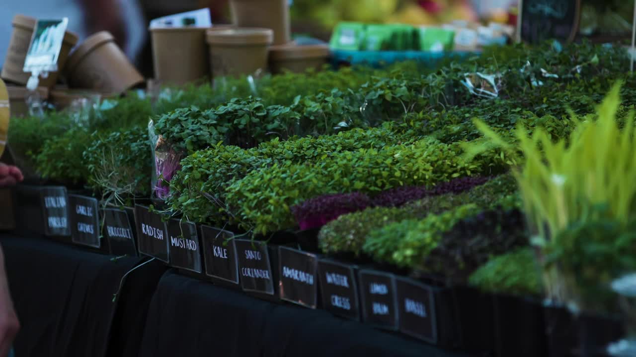 Stock Video Farmers Market Display Of Fresh Herbs Live Wallpaper For PC - Free Download