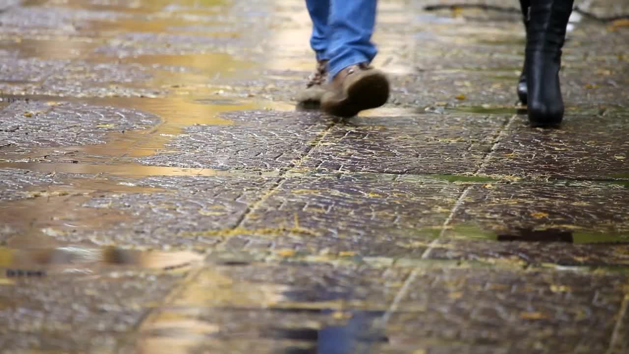Stock Video Couple Walking On A Rainy Day Live Wallpaper For PC - Free Download