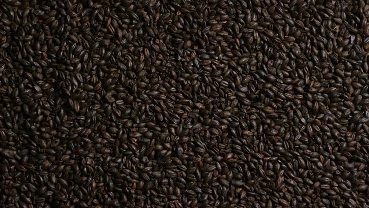 Stock Video Black Barley Rotating Live Wallpaper For PC - Free Download