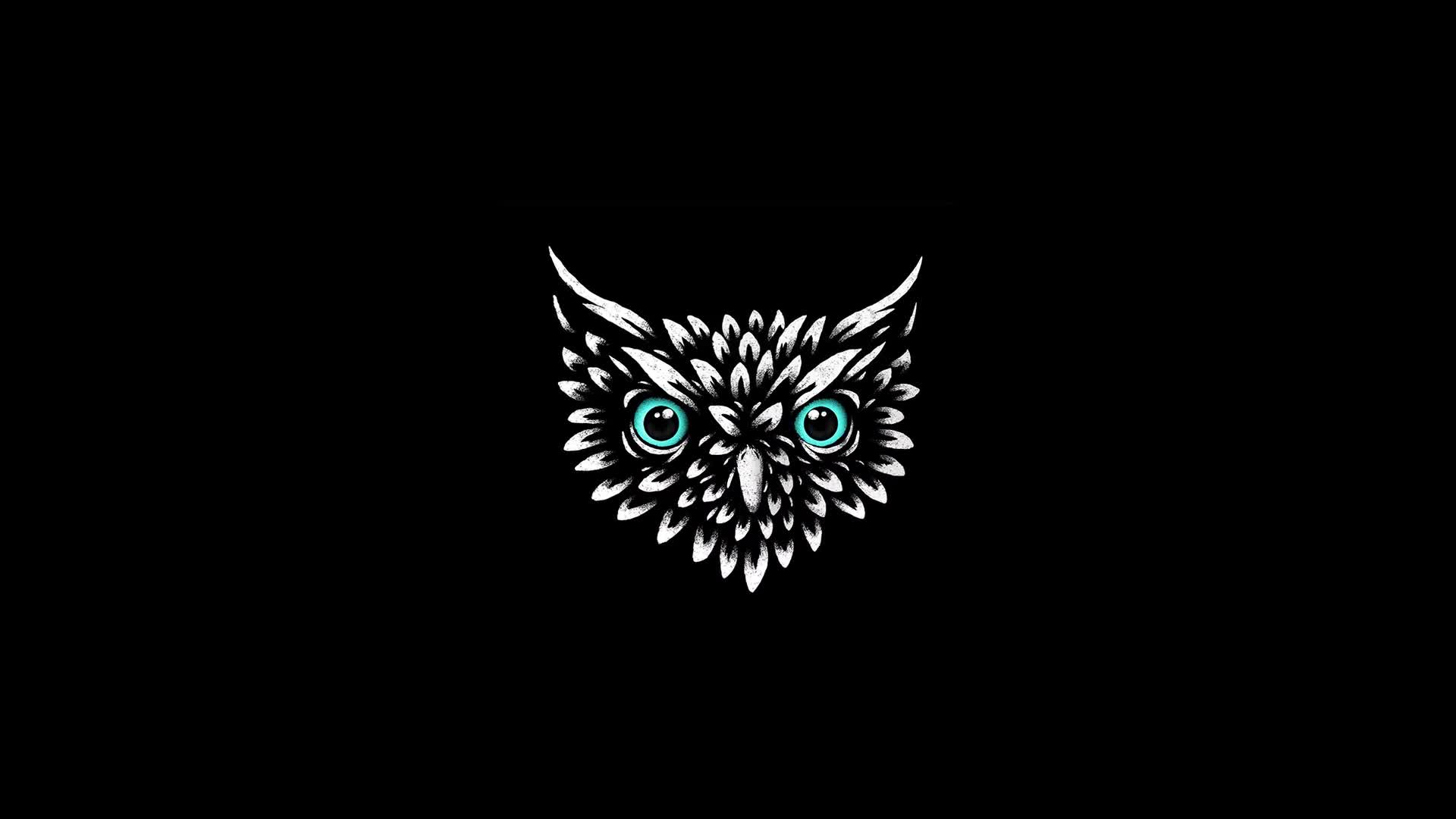 Animated Owl Head Live Wallpaper - Free Download