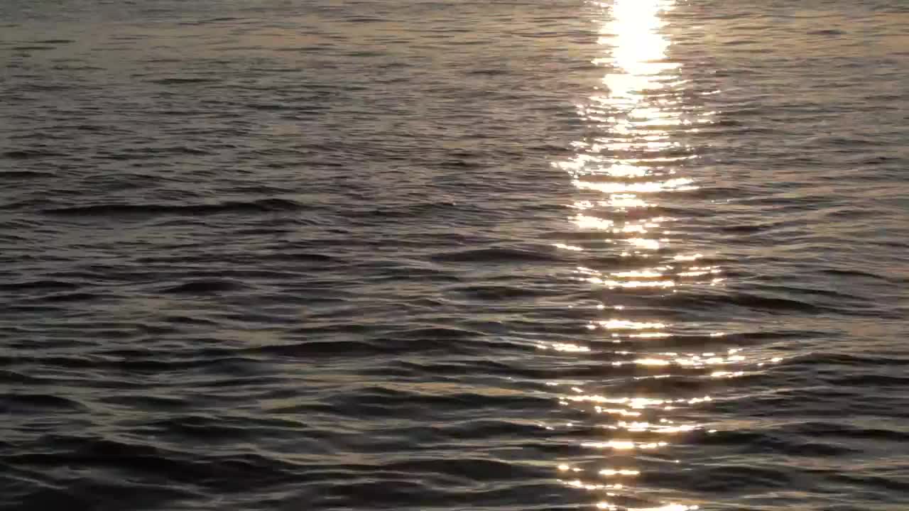 Free Video Stock sunset reflecting on ocean ripples Live Wallpaper - Free Download