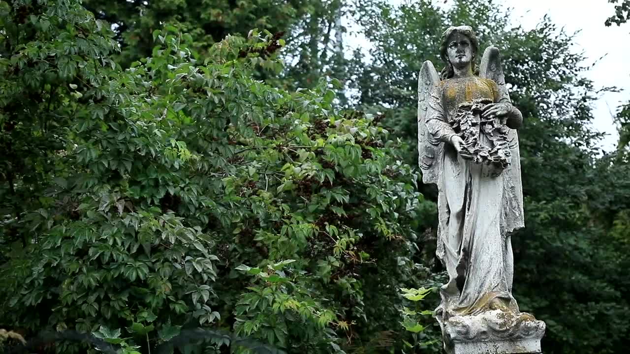 Free Video Stock Statue Of An Angel Live Wallpaper - Free Download