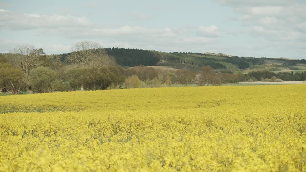 Stock Video Distant Hills And Farmland Live Wallpaper For PC - Free Download