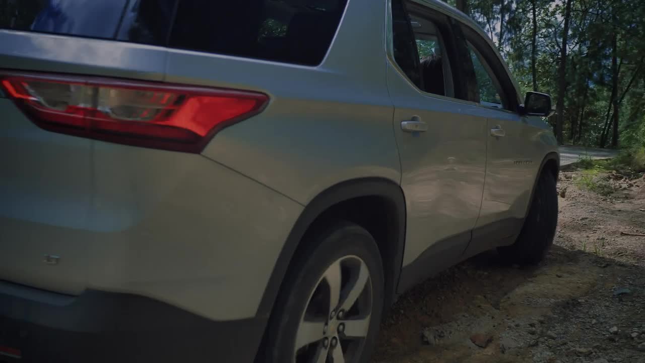 Video Stock Pickup Truck Leaves On A Road In A Forest Live Wallpaper Free - Free Download