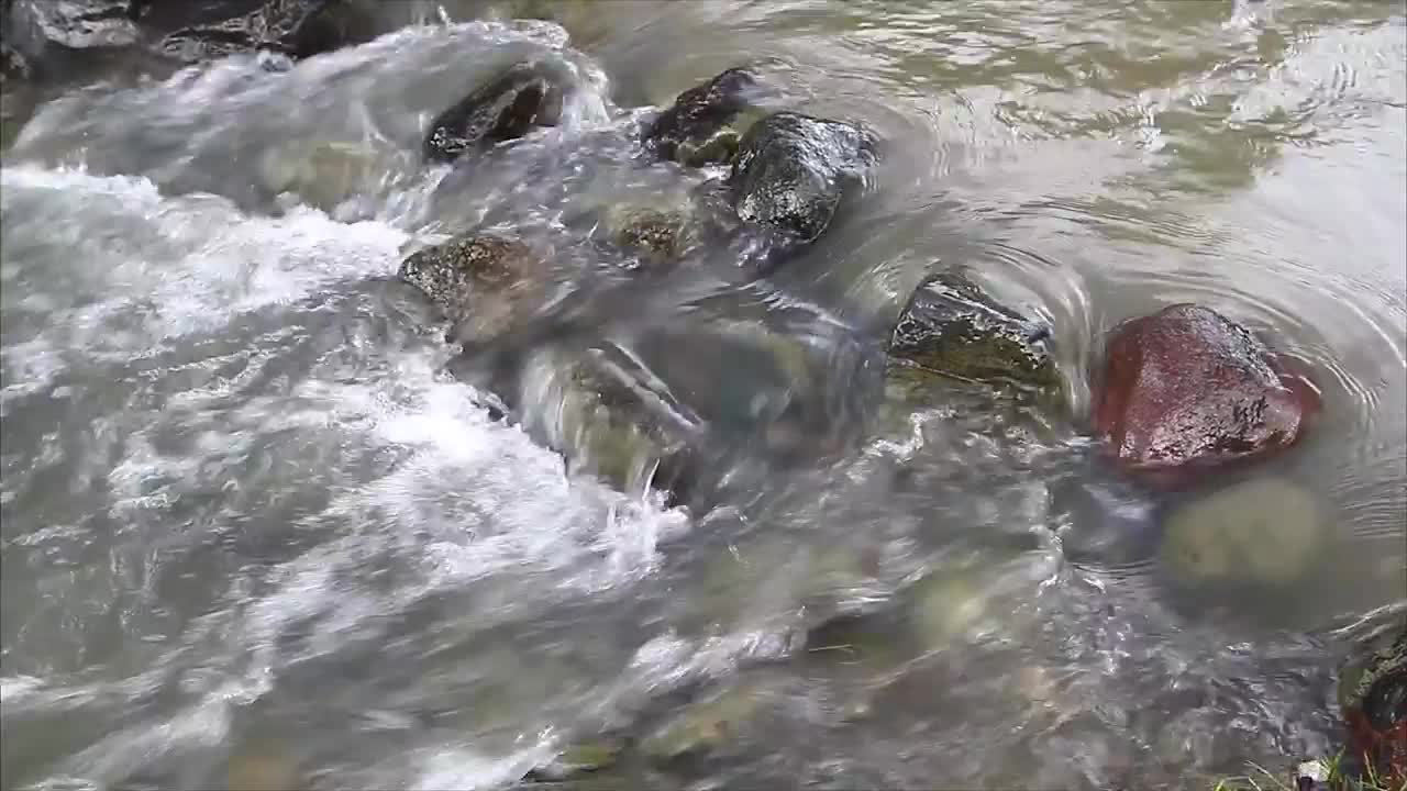 Stock Video Dirty Stream Flowing Over Pebbles Live Wallpaper For PC - Free Download