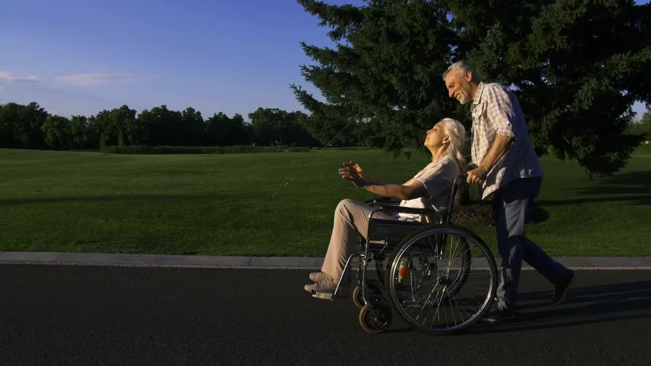 Stock Video Man Pushing His Wife Through The Par Animated Wallpaper - Free Download