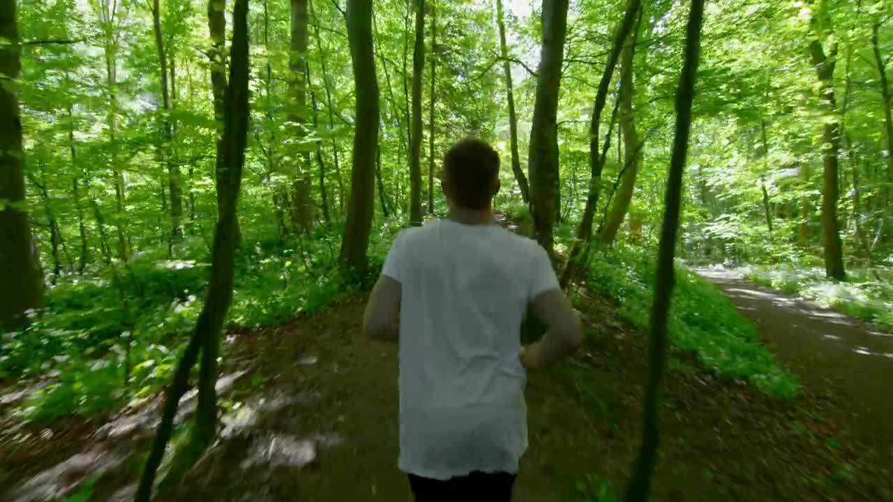 Stock Video Man Jogging Through The Tree Animated Wallpaper - Free Download