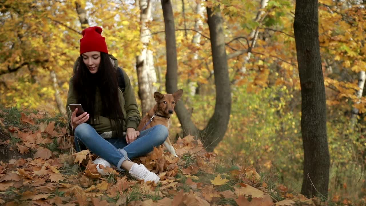 Free Stock Video Woman Checking Her Phone While Walking Her Dog Live Wallpaper - Free Download