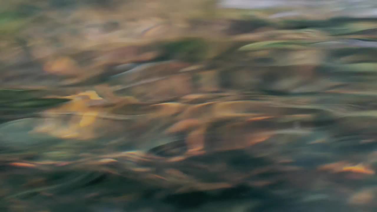 Stock Footage Wavy Water Surface Live Wallpaper - Free Download