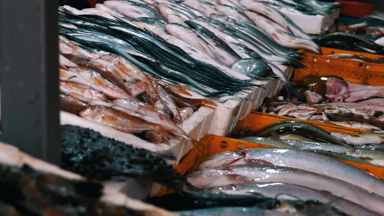 Stock Video Fresh Fish Merchandise In The Market Live Wallpaper For PC - Free Download