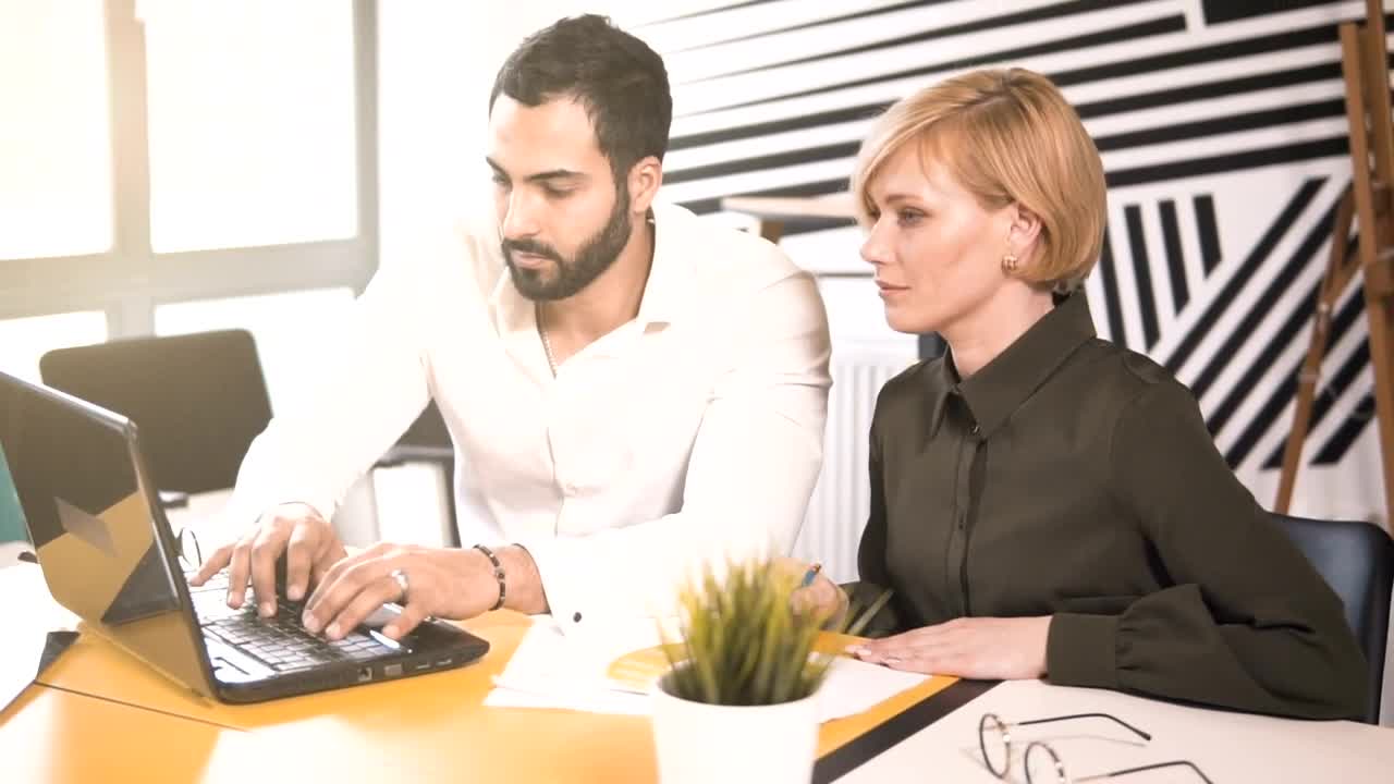 Stock Video Coworkers Working Together In The Office Live Wallpaper For PC - Free Download