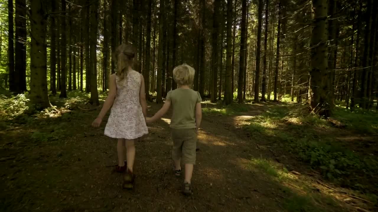 Stock Footage Walking In The Shade Live Wallpaper - Free Download
