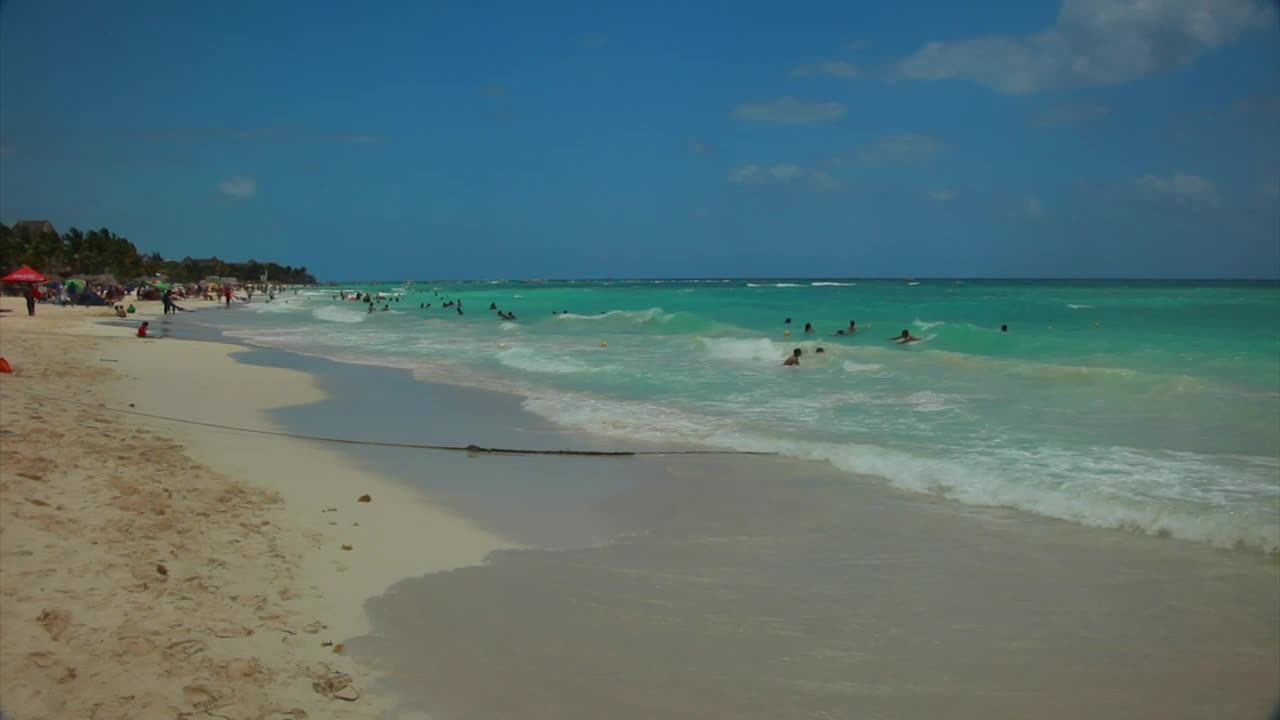 Stock Video Families Enjoying Time At The Beach Live Wallpaper For PC - Free Download