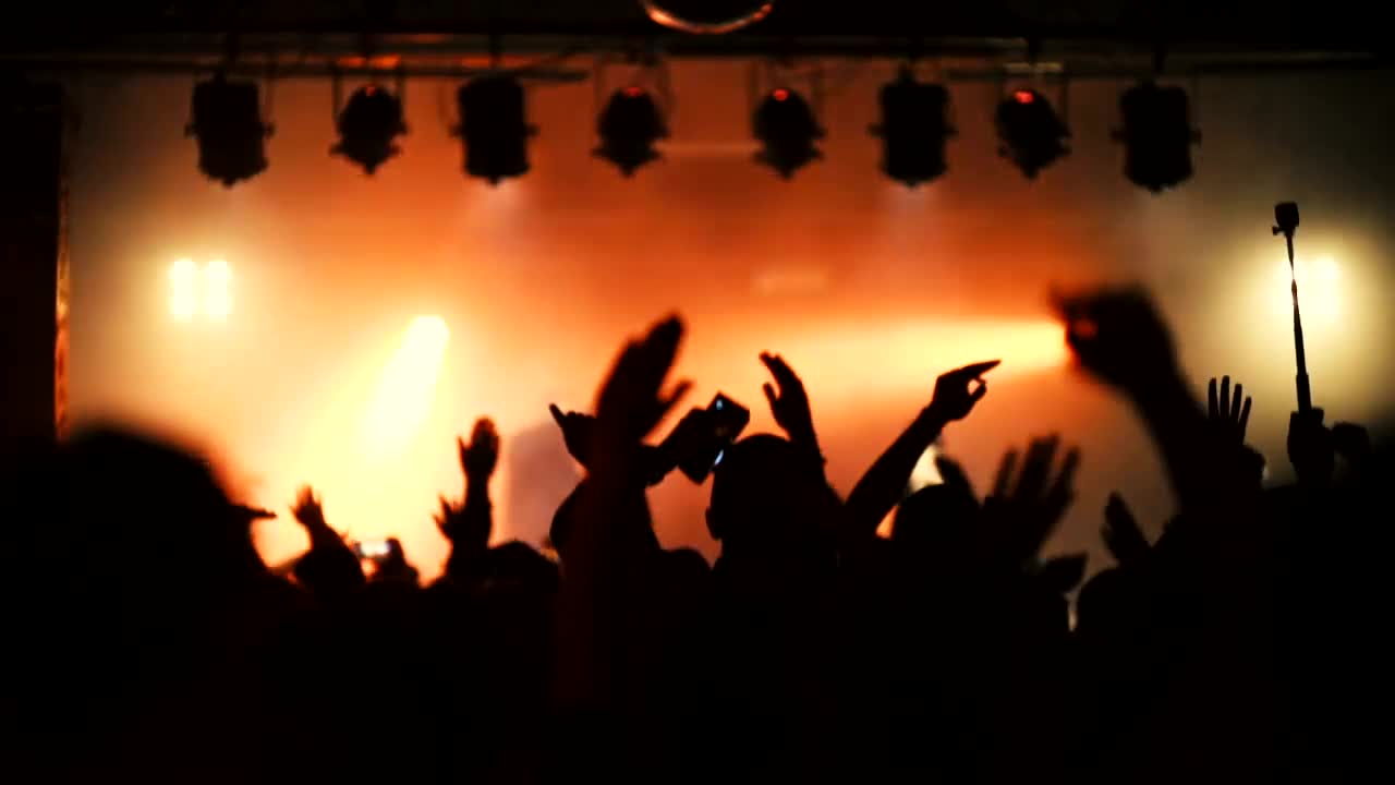 Stock Video Crowd Jumping At The Concert Live Wallpaper For PC - Free Download