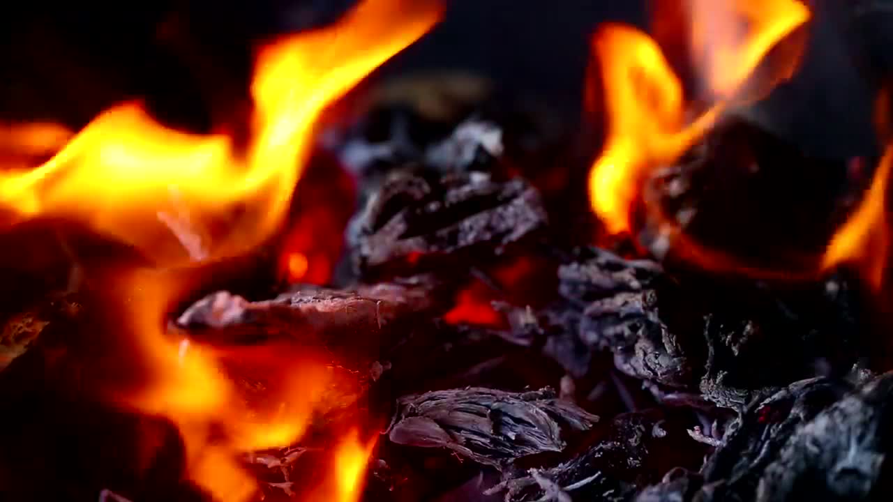 Stock Video Embers Glowing And Flames Live Wallpaper For PC - Free Download