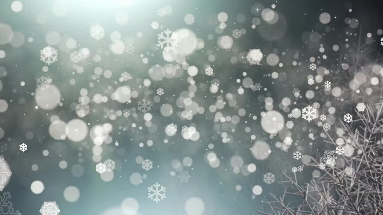 Stock Video Floating Snow Particles Christmas Concept Live Wallpaper For PC - Free Download