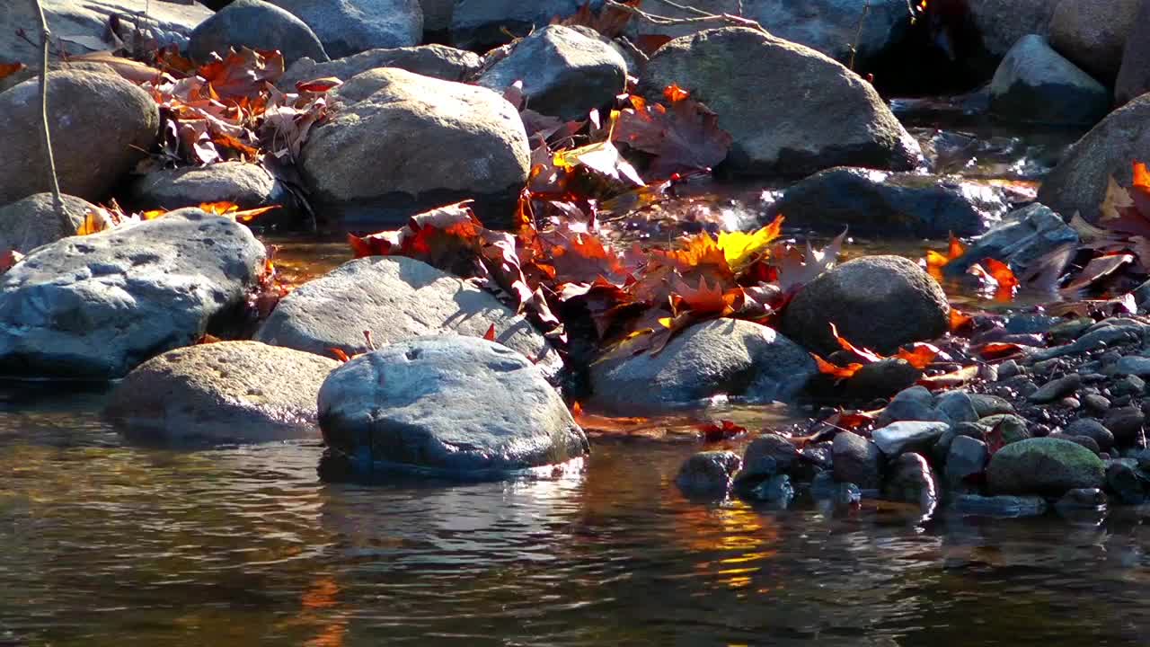 Free Stock Video Rocks In A River In Autumn Live Wallpaper - Free Download