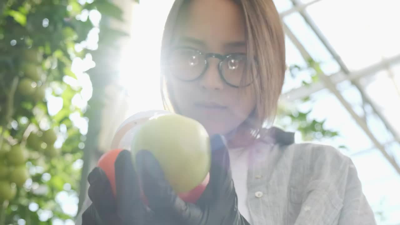 Free Stock Video Young Farmer Checking Vegetables With A Magnifying Glass Live Wallpaper - Free Download