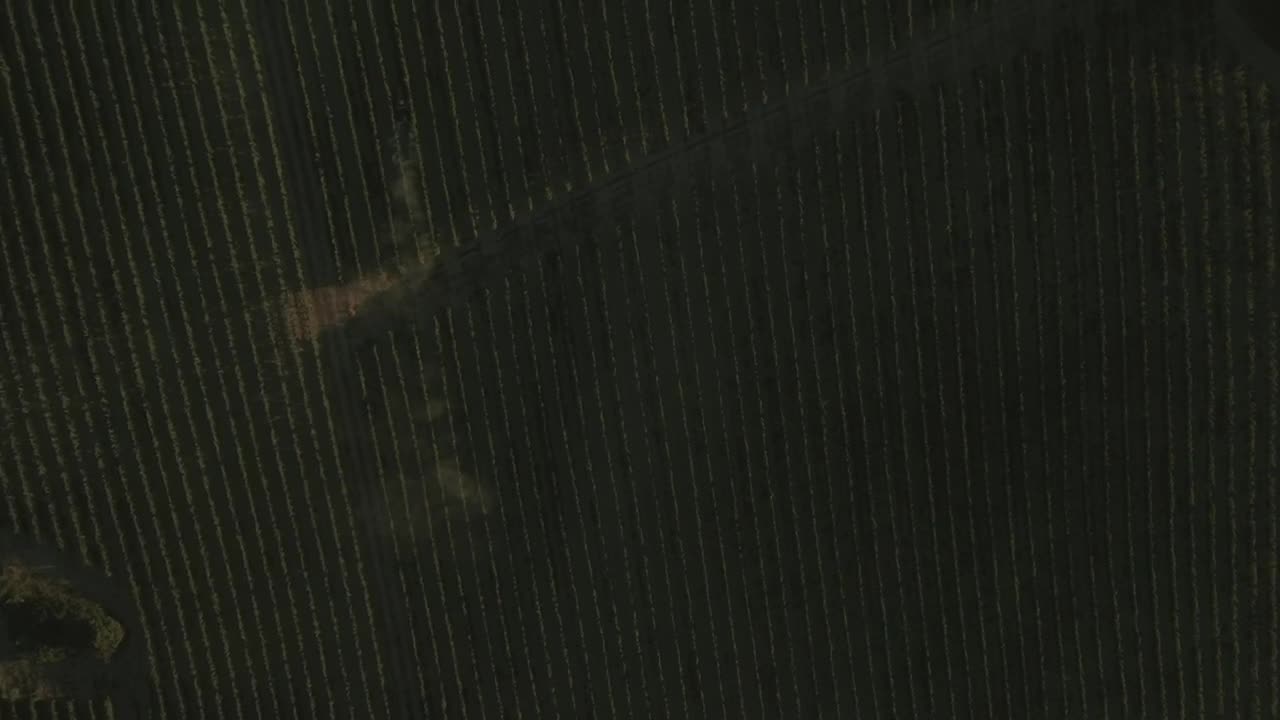 Stock Video Drone Following A Field Live Wallpaper For PC - Free Download