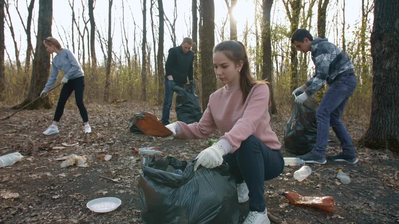 Free Stock Video Volunteers Collect Garbage From The Forest Live Wallpaper - Free Download