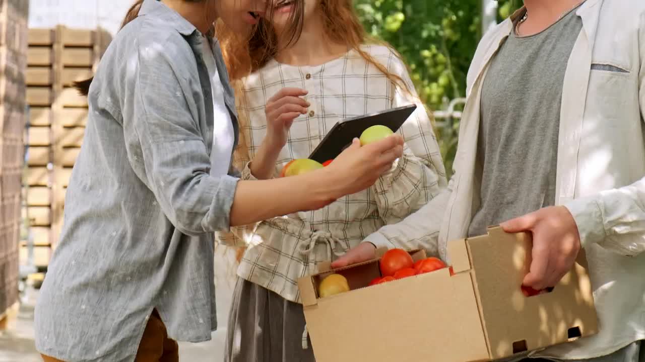 Stock Video Farmers Discussing About Vegetables Quality Live Wallpaper For PC - Free Download