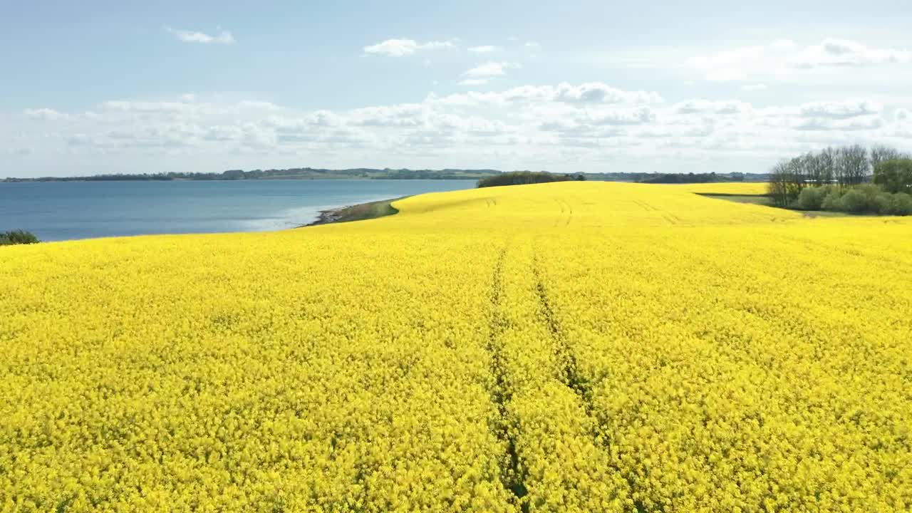 Stock Video Farmland By The Ocean Live Wallpaper For PC - Free Download