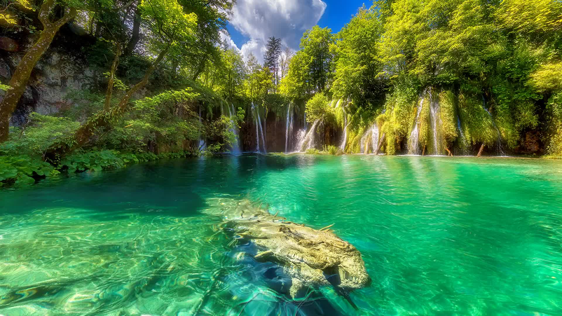 Plitvice  Croatia  Parks  Lake  Waterfall  Live  Wallpaper - Free Download
