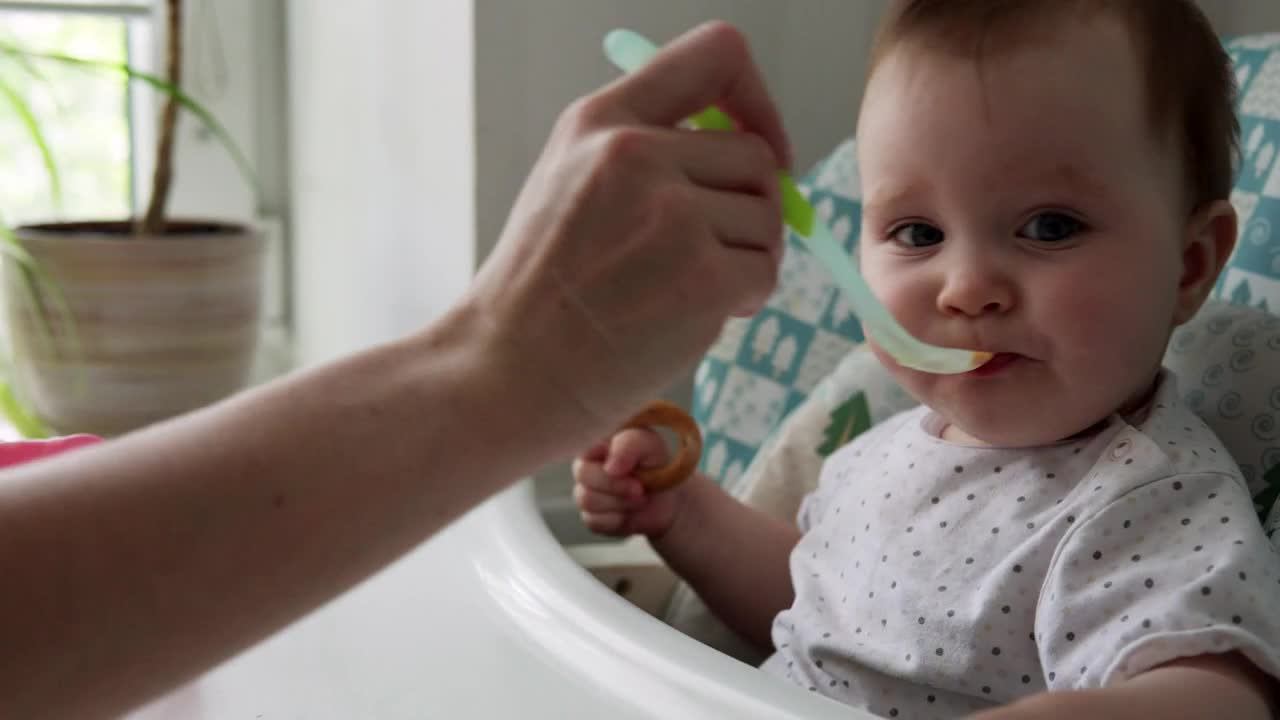 Stock Video Mother Feeding Her Young Bab Animated Wallpaper - Free Download