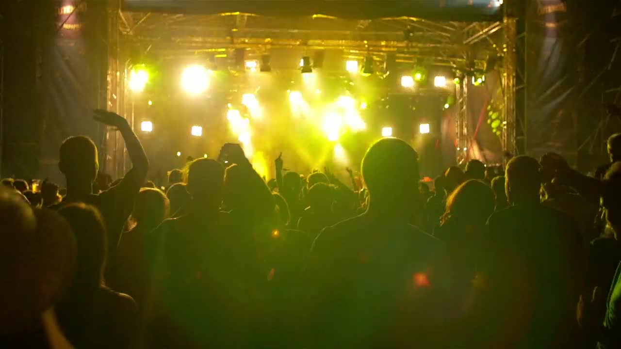 Stock Video Festival Crowd At Night Live Wallpaper For PC - Free Download