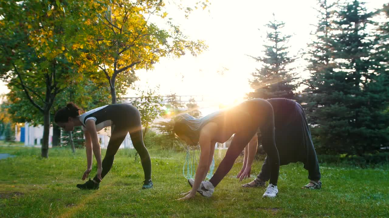Free Video Stock three women exercising on the grass in a park Live Wallpaper - Free Download
