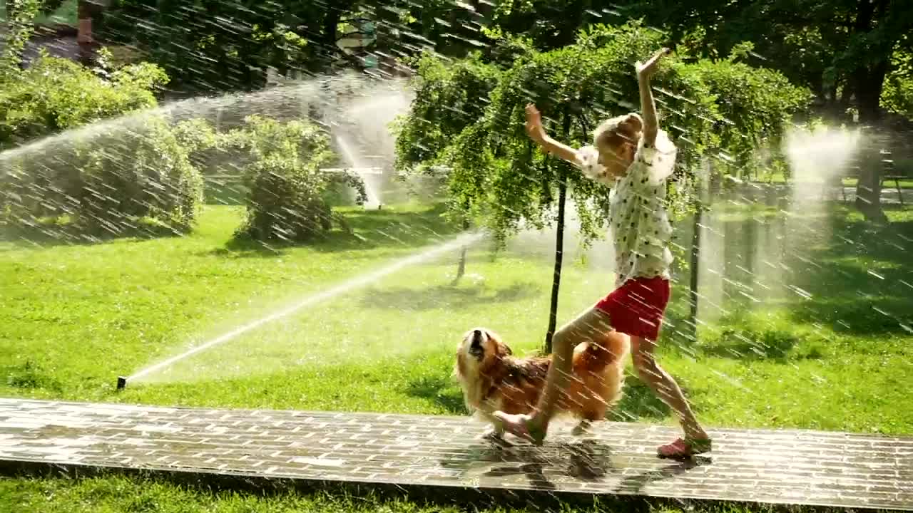 Stock Video Girl And Dog Running In The Park Path Live Wallpaper For PC - Free Download