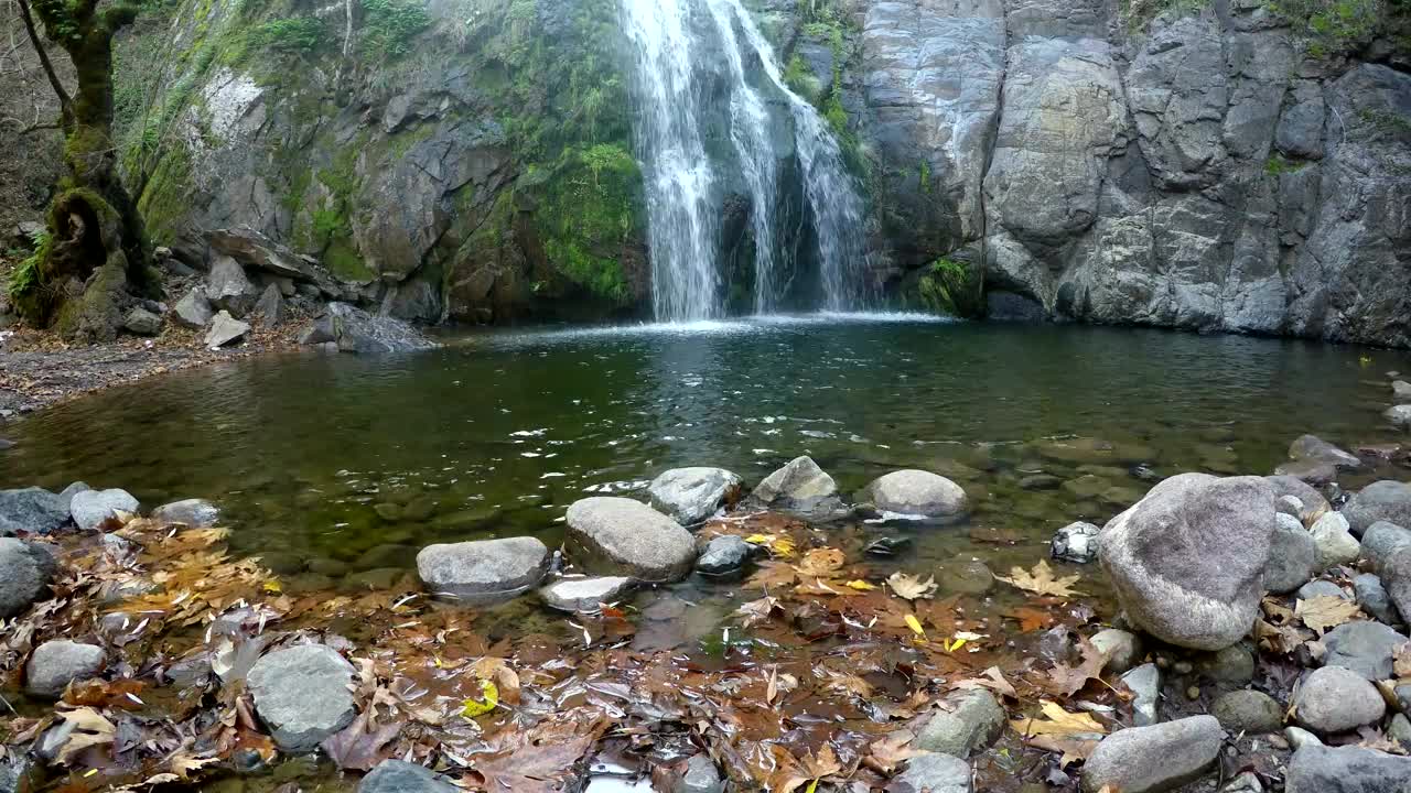 Stock Video Lake And Its Waterfall In The Woods Animated Wallpaper - Free Download
