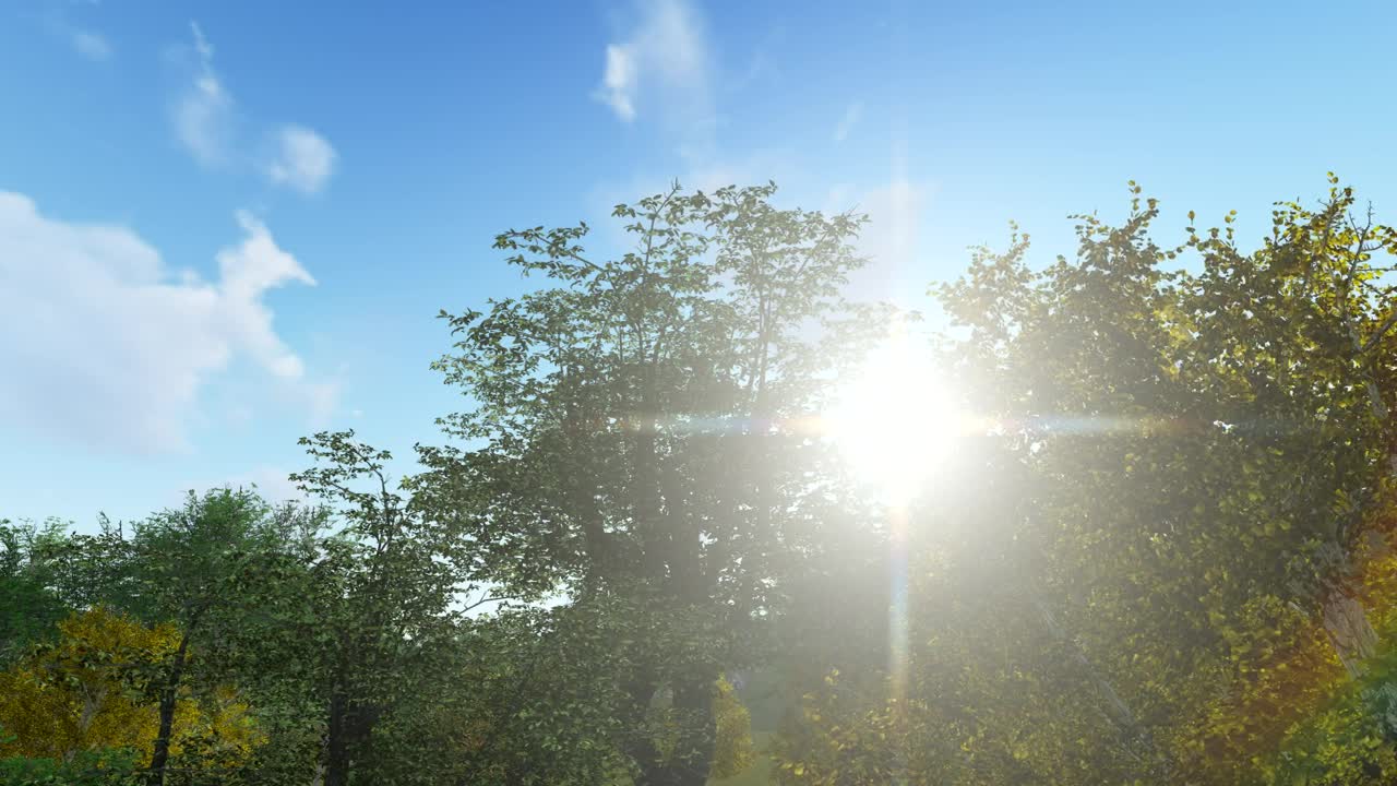 Free Video Stock Sun Flare And Trees D Live Wallpaper - Free Download