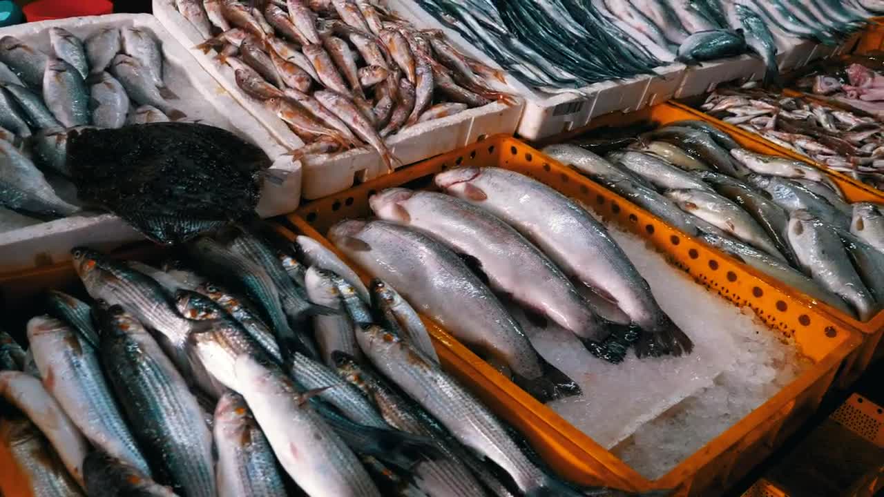 Stock Video Fresh Fish On Ice Trays Live Wallpaper For PC - Free Download