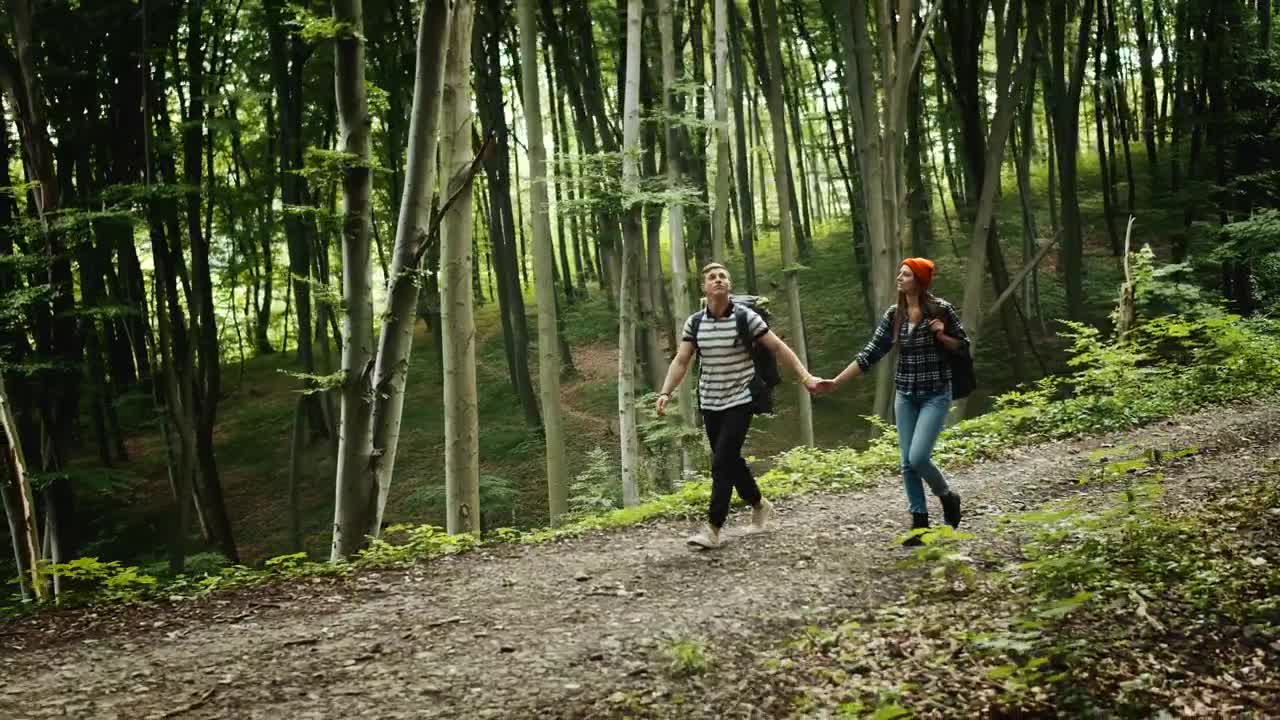 Stock Video Couple Hold Hands On Romantic Hike In Forest Live Wallpaper For PC - Free Download