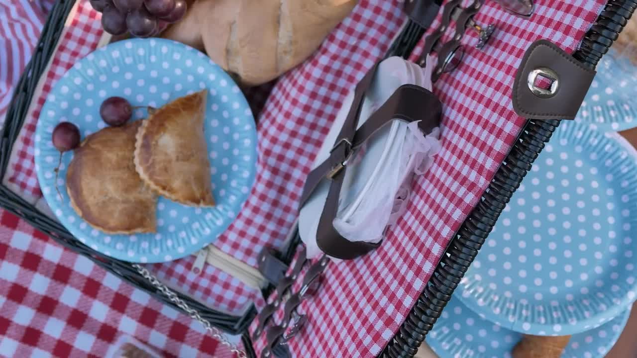 Stock Video Mother Serving Food At A Picni Animated Wallpaper - Free Download