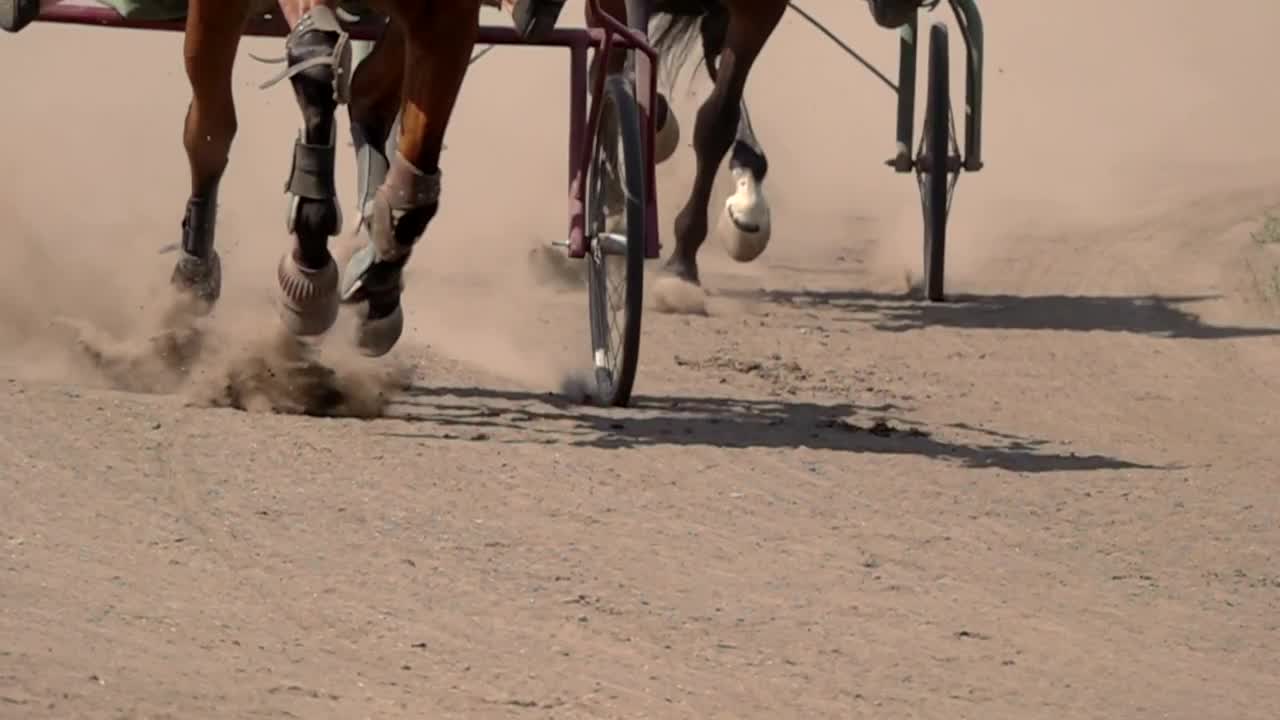 Video Stock Close Up Of A Race With Horses And Wagons Live Wallpaper For PC - Free Download