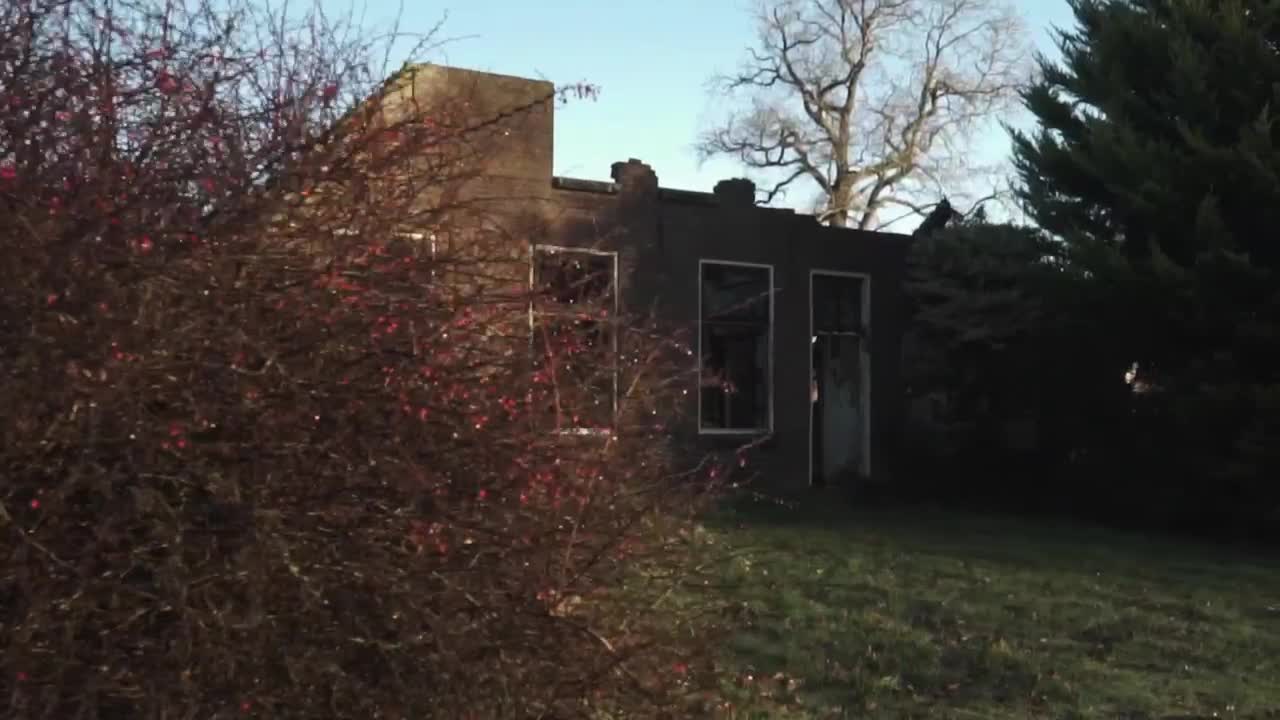 Free Stock Video Ruined House In The Woods Live Wallpaper - Free Download