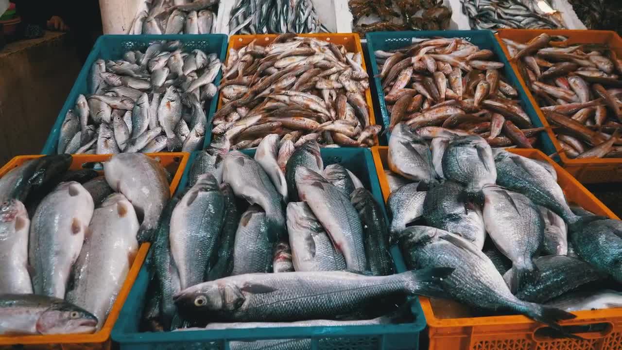 Stock Video Fresh Fish Ready For Sale In The Market Live Wallpaper For PC - Free Download