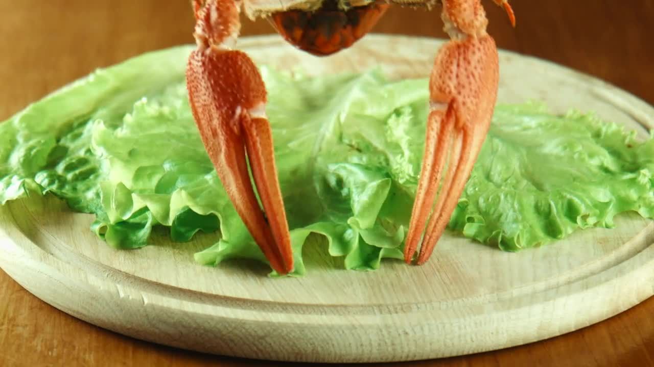Stock Video Lobsters On A Lettuce Bed Animated Wallpaper - Free Download
