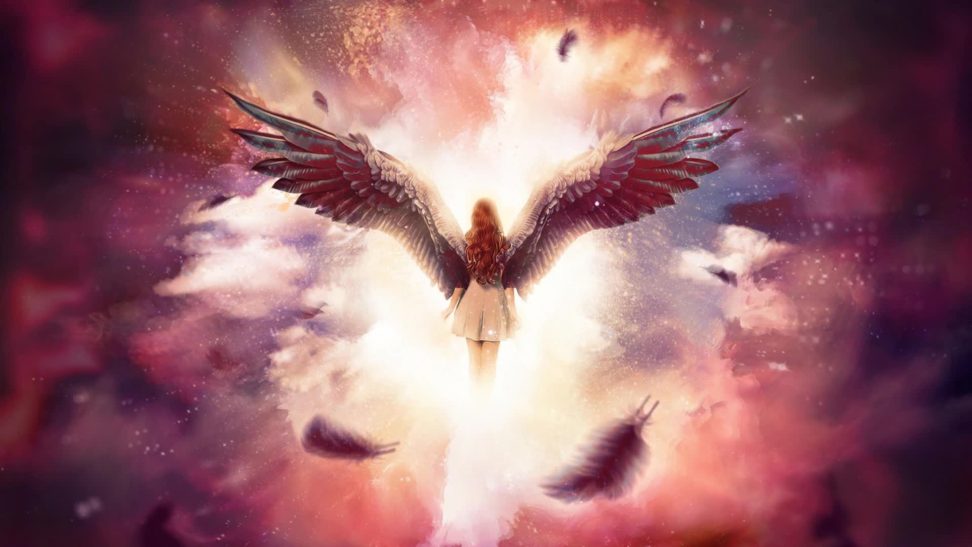 Angel  Fairy  Girly  Dream  Live  Wallpaper - Free Download